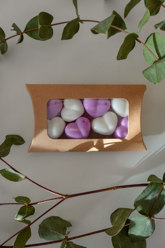 Wax Melts Jasmim & Magnólia